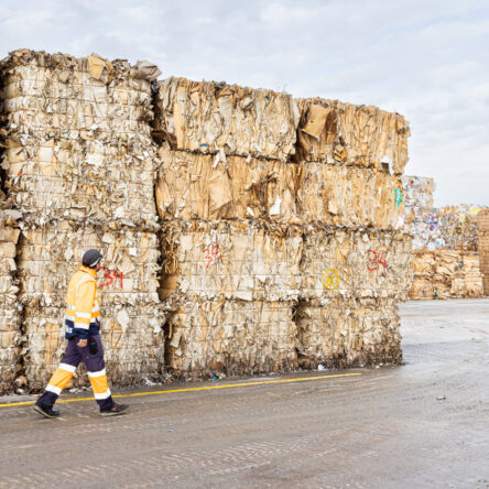 Contratación de personal para la nueva línea de tratamiento y valorización de los residuos de los envases cartón bebidas briks en nuestra planta industrial de Roselló