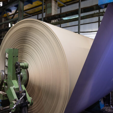 High-Performance Paper for Gypsum Boards – Lightweight, Resilient, and Cost-Effective