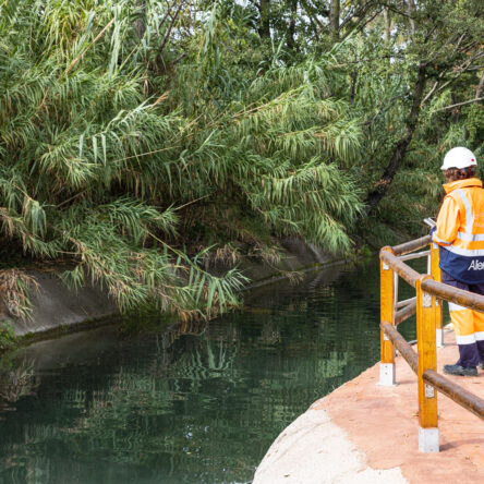 The Planet: A Matter for Everyone – How Does Alier act