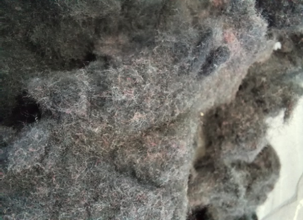 As a result, direct contributions are made to the preservation of natural resources and water quality, which has a direct impact on both the environment and society, enhancing quality of life. Among its contributions, the project aims to stimulate sustainable fashion by contextualizing the current issues within the textile sector, largely stemming from the highly demanding and consumptive model of 