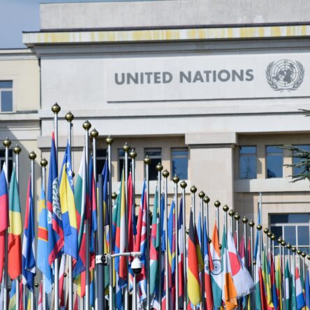Alier s’adhereix al Pacte Mundial de les Nacions Unides