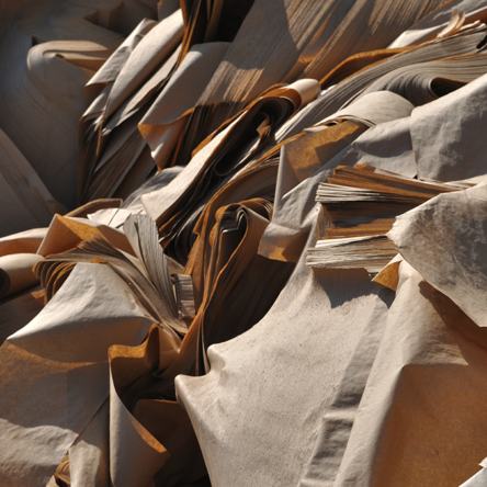 El refinament enzimàtic és el futur del paper sostenible.